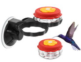 Fchstaer mini glass hummingbird feeder with suction cup