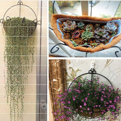 FDGARDEN half round coconut liners placed in hanging basket