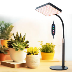FECiDA Bonsai Grow Light front view with adjustable height