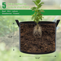 FEED GARDEN 5 Gallon Grow Bag with herbs planted inside