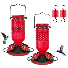 FEED GARDEN Glass Hummingbird Feeder front view with flower feeding ports