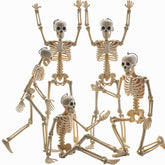 Feir 16-inch skeleton Halloween decoration front view