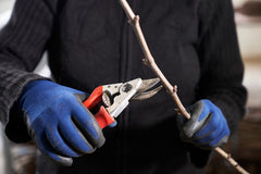 FELCO F 15 pruning shears with rubberized grip