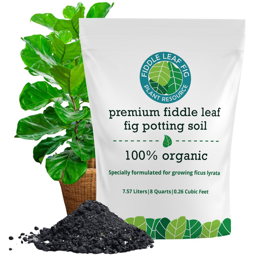 Fiddle Leaf Fig Plant Food Organic Fiddle Leaf Fig Soil 7.5L bag front view