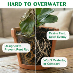 Fiddle Leaf Fig Soil bag in a garden setting