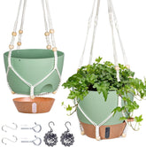 Fielda 10 Inch Hanging Planters with water window features