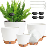 Fielda 8-inch self-watering pot with absorbent cotton wick