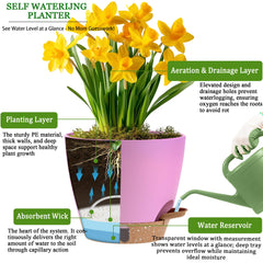 Fielda 8 inch self-watering pot with detachable tray