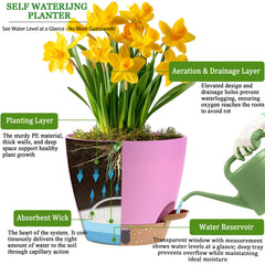 Fielda 8 inch self watering pot with removable tray