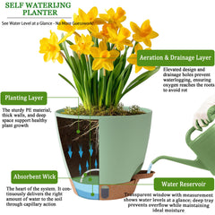 Fielda pots with drainage holes and removable tray