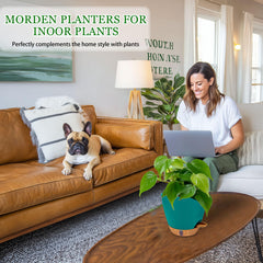 Fielda self-watering plant pot with see-through window