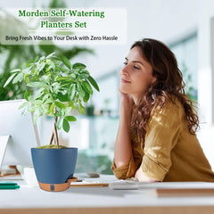 Fielda self-watering pot displayed in a living room setting