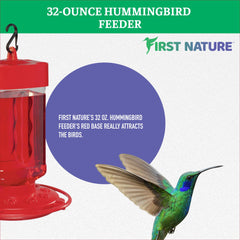 FIRST NATURE Hummingbird Feeder showing ten feeding ports