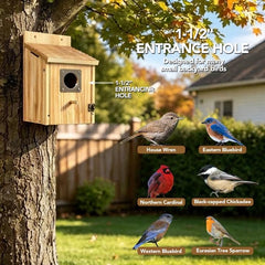 Fitraho birdhouse interior showcasing fledgling ladder