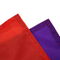 FLAGLINK Progress Pride Flag displayed outdoors