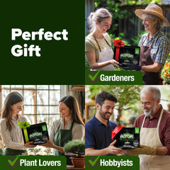 Flame Tree bonsai seeds showcased in the starter kit