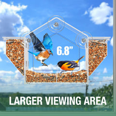 FLINTER Window Bird Feeder suction cup installation
