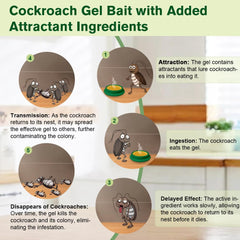 FLODTEEK Cockroach Gel Bait applied under the sink
