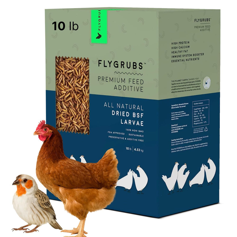 FLYGRUBS 10 lb Dried Black Soldier Fly Larvae front packaging view