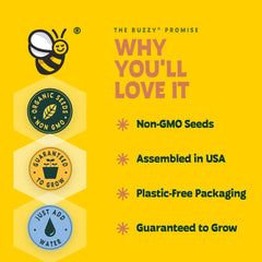Forget-me-not seed packets from the BUZZY kit