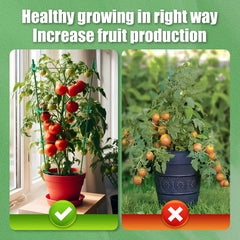 Four pack of Anothera tomato cages stacked for storage