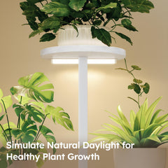 Four-tiered plant display stand with various plants set up indoors