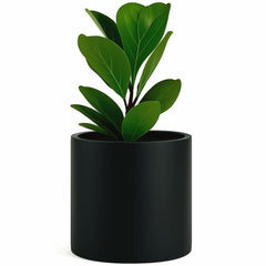 Fox & Fern 12 Inch Black Matte Large Planter front view