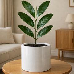 Fox & Fern Large Planter 8 Inch White Glossy front view