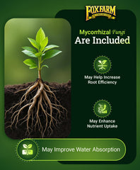 FoxFarm Happy Frog Tomato & Vegetable Fertilizer in garden setting