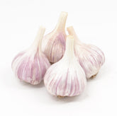 Fresh Garlic Chesnok Red Garlic Bulbs pack of 4