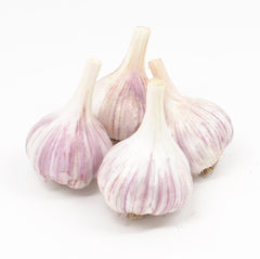 Fresh Garlic Chesnok Red Garlic Bulbs pack of 4