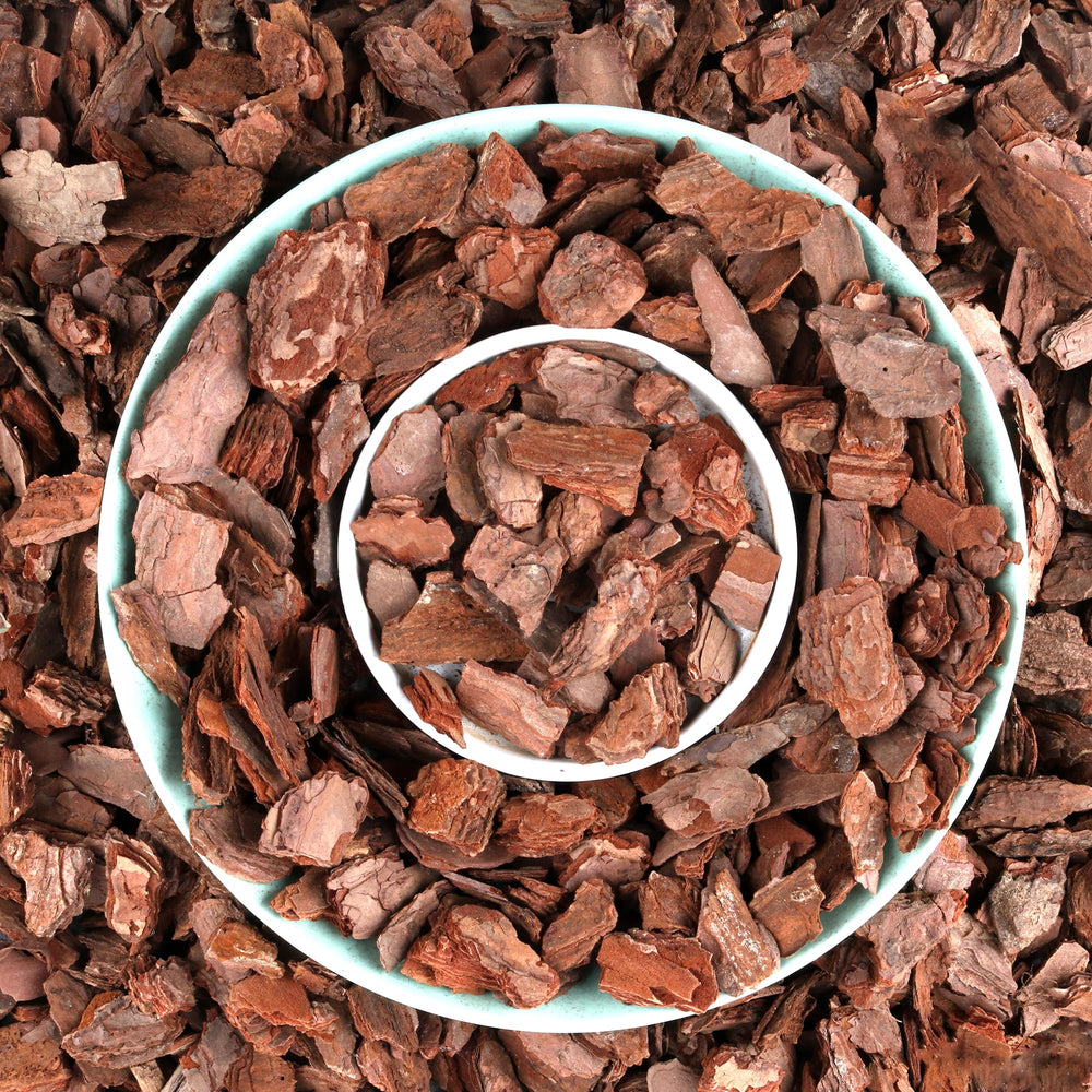 Front view of Avalution Orchid Potting Bark 3QT package
