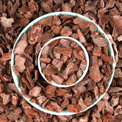 Front view of Avalution Orchid Potting Bark 3QT package