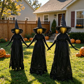 Front view of DR.DUDU Halloween Light Up Witch Stakes set of 3