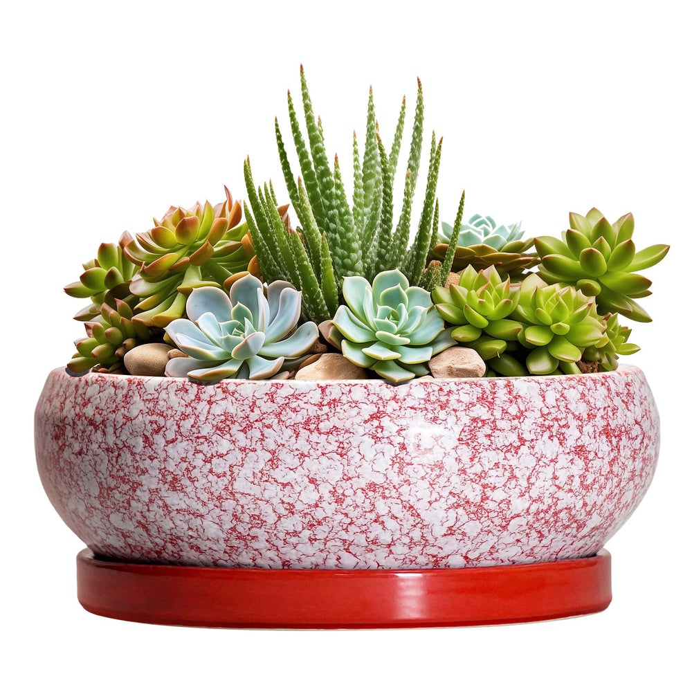 Front view of EPFamily 8 Inch red ceramic succulent pot with drainage hole