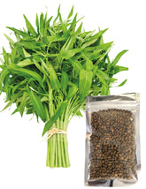 Front view of Generic Kangkong Seeds package with green label