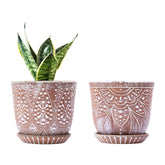 Front view of Gepege 6 inch ceramic plant pots with drainage trays