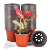 Front view of JERIA 4 inch nursery pots in mint colour