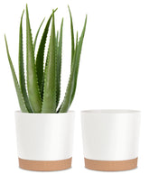 Front view of kubvici 10 inch white plant pot with drainage tray