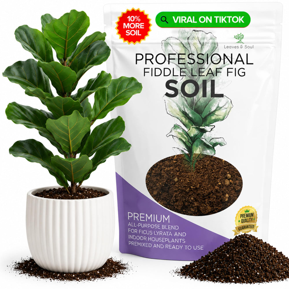 Front view of Leaves and Soul Fiddle Leaf Fig Soil Mix 8.2 Quarts