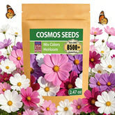 Front view of LUOJIBIE Cosmos Seeds pack with mixed colours