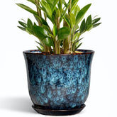 Front view of SUNPOTFOR 10 Inch Ceramic Plant Pot in blue