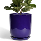 Front view of SUNPOTFOR 10 Inch Ceramic Plant Pot in Sapphire Blue