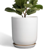 Front view of SUNPOTFOR 10 Inch Ceramic Plant Pot in white