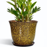 Front view of SUNPOTFOR 10 Inch Ceramic Plant Pot in Yellow