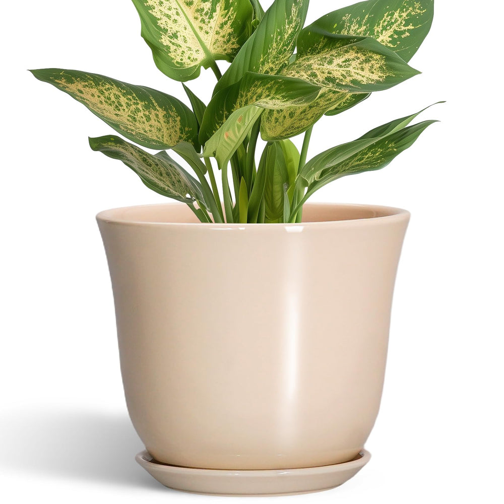 Front view of SUNPOTFOR 5.6 Inch Beige Ceramic Plant Pot