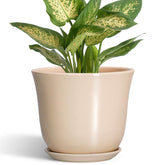 Front view of SUNPOTFOR 5.6 Inch Beige Ceramic Plant Pot