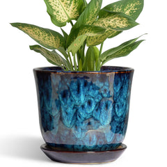 Front view of SUNPOTFOR 5.6 Inch Ceramic Plant Pot in Blue