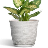 Front view of SUNPOTFOR 5.6 Inch Ceramic Plant Pot in Grey