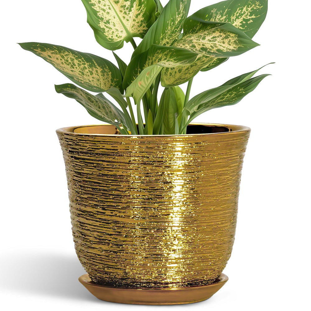 Front view of SUNPOTFOR 5.6 Inch Gold Ceramic Plant Pot